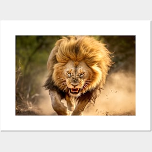 Lion Animal Nature Majestic Wilderness Posters and Art